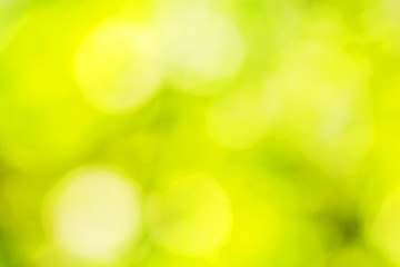 Background with yellow and green spots