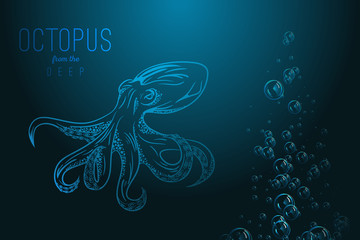 Original close up vector illustration of hand drawn octopus.
