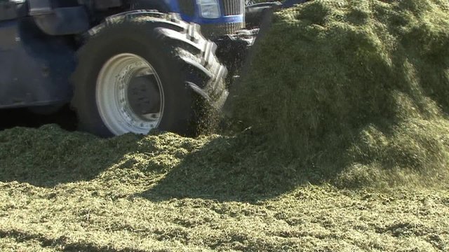 Tractor rolled haylage
