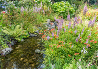 Flowers And Stream