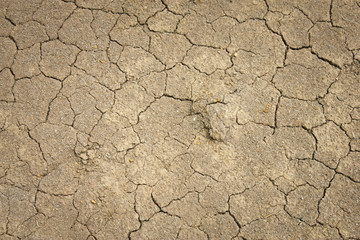 cracked dirty ground texture