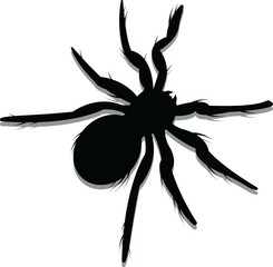 Vector Spider Silhouette