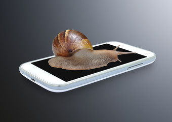 Snail on smartphone , technology fast slow concept