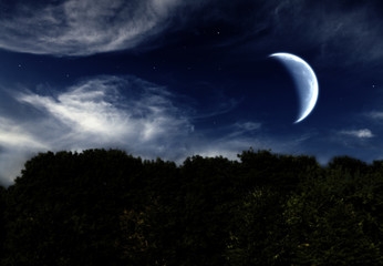 Fototapeta na wymiar night landscape with the moon