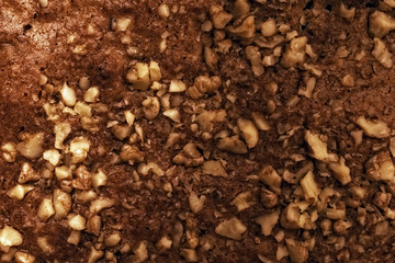 fresh cake sprinkled with crushed walnut