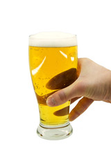 Beer mug in  hand