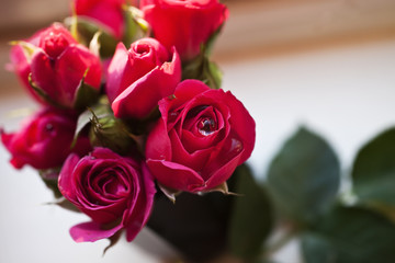 beautiful Bouquet of pink roses
