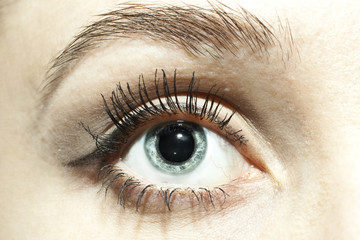 Fototapeta premium Female blue eyes with dilated pupils close