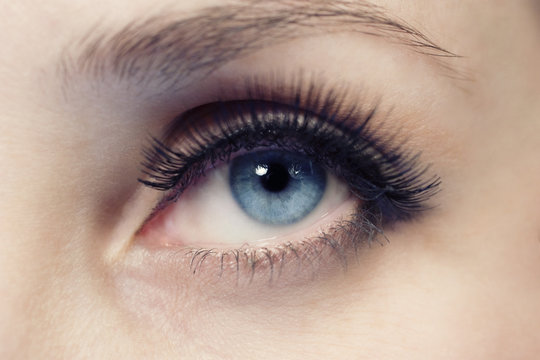 Female dark blue eye close up