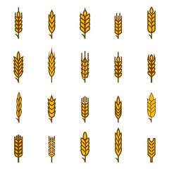 Ears of wheat bread symbols