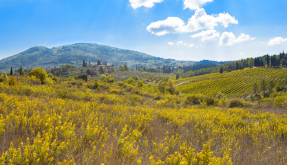 Fototapeta premium Italian rural landscape
