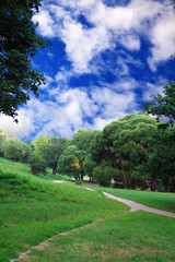 Fototapeta na wymiar Green forest with blue sky and clouds on summer day