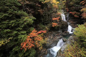 みたらい渓谷　紅葉