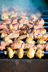 Grilled Meat and Mushroom Kebab