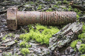 Fototapeta premium Rostschaden