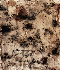 Structure of an old paper with mould stains