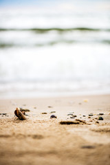 Sandy Beach, Pebbles and Sea on the Background