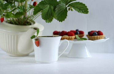 afternoon tea