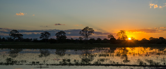 Sunset in Brazilian pantanal