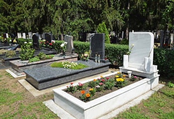 Tombstones in the public cemetery