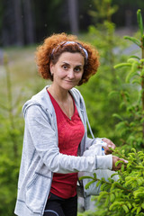 Woman picking fir buds