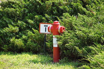 Fire hydrant in the park