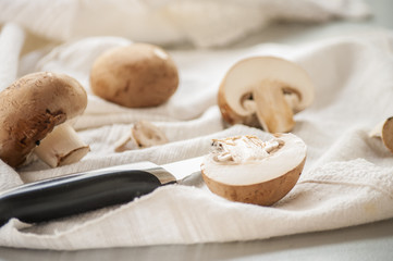Fototapeta na wymiar Fresh brown mushrooms cut on white background close up