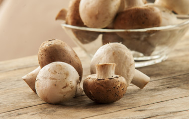 Champignon mushroom close up on wooden background