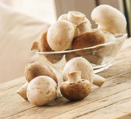 champignon mushroom