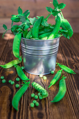 Green pea pods in a tin on wooden table