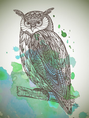 Vector illustration of wild totem animal - Owl