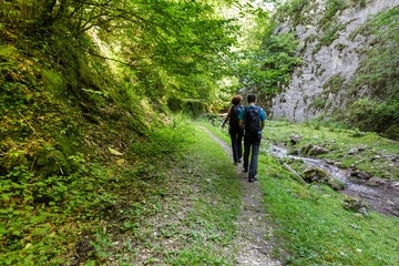 Fototapeta premium Family of hikers walking on a valley