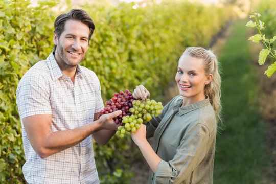 Two young happy vintners holding grapes