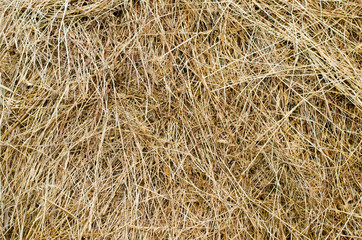 Hay stack texture in a close view with a yellow dried up look