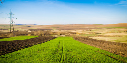 Brand new wheat field during a spring day with a fresh green look and farmland on the background with an arid dry look
