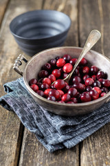 Frische Cranberries in einer Schale