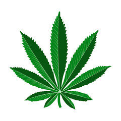 realistic marijuana leaf