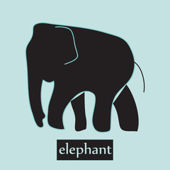 Elephant icon on blue background / vector