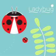 Ladybug vector
