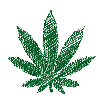 marijuana leaf line drawing 