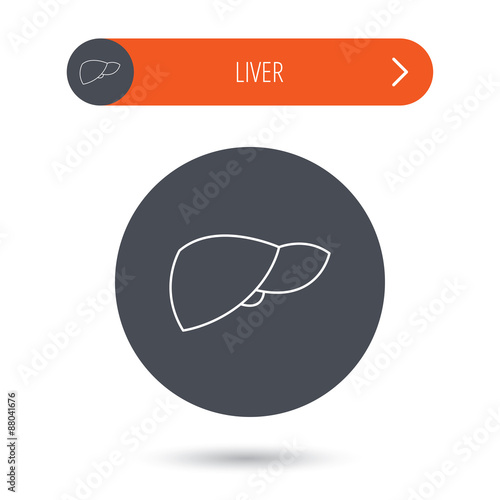 "Liver icon. Transplantation organ sign." Stock image and royaltyfree vector files on Fotolia