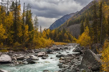  Beautiful landscape with a view of a mountain stream in the fall © Anton Petrus