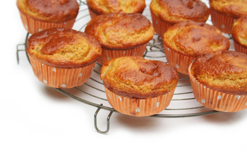 muffin alle pesche su sfondo bianco