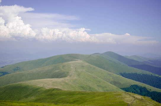 Beautiful green hills in a bright day. Travel background, Carpat