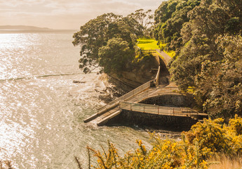 descent to the sea, Whangaparaoa Peninsula, New Zealand