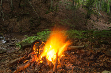 Bonfire in the forest.