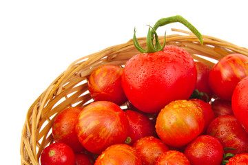 Fresh red tomatoes in basket isolated on white background
