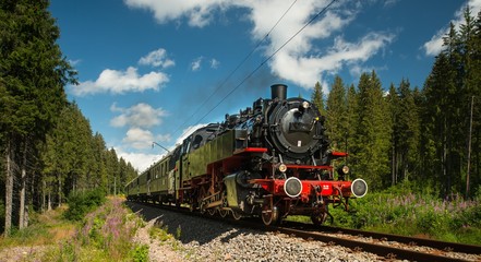 Fototapeta na wymiar Dmpflokomotive im Schwarzwald