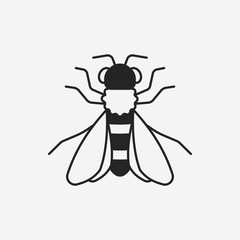 insect icon