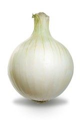 Close up view of isolated white onion